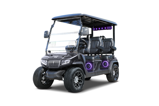 2024 D5 Maverick 4 Plus For Sale